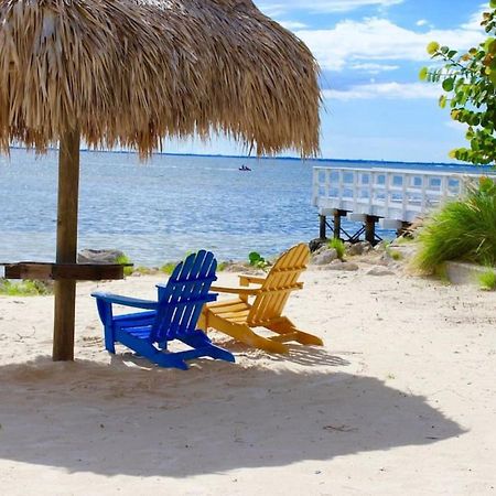 Sunset Paradise - Find Yourself In Tampa Exterior foto
