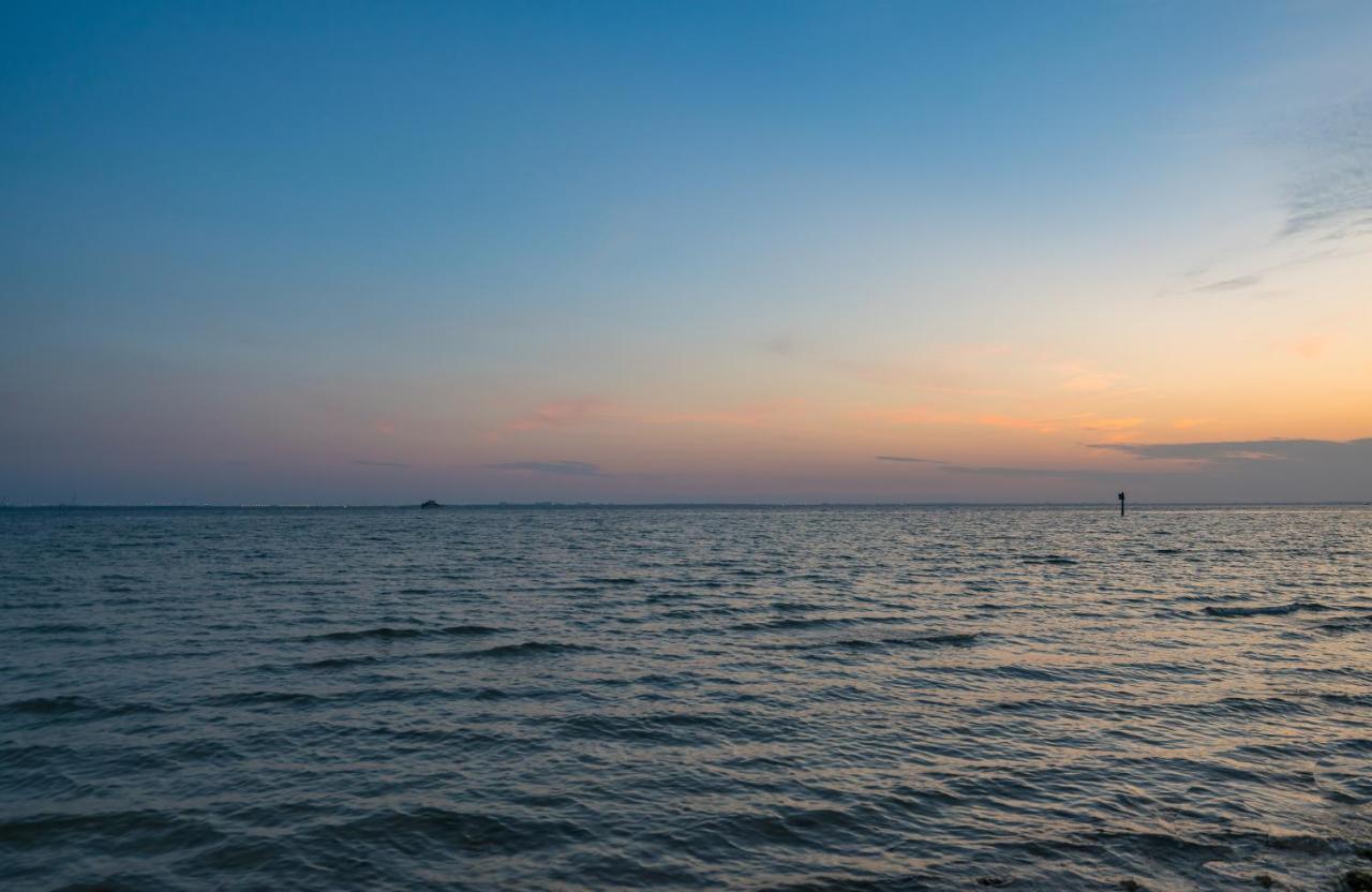 Sunset Paradise - Find Yourself In Tampa Exterior foto